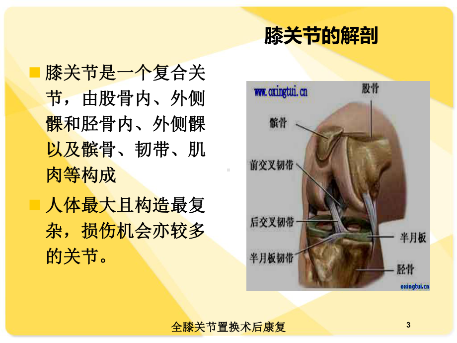 全膝关节置换术后康复培训课件.ppt_第3页