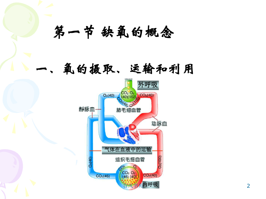 动物病理学缺氧[医药荟萃]课件.ppt_第2页