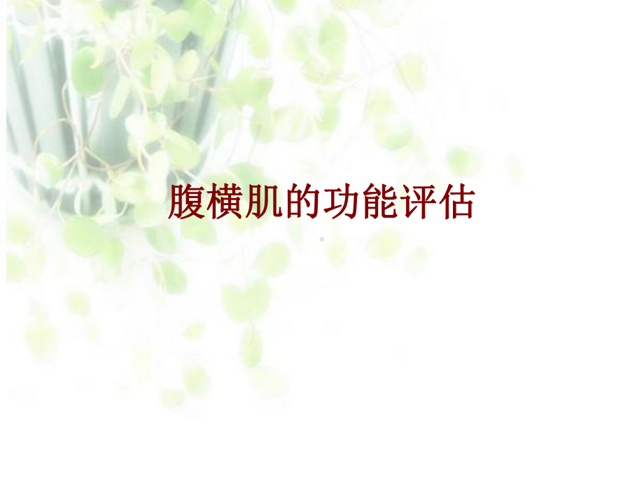 医学腹横肌的功能评估培训课件.ppt_第1页