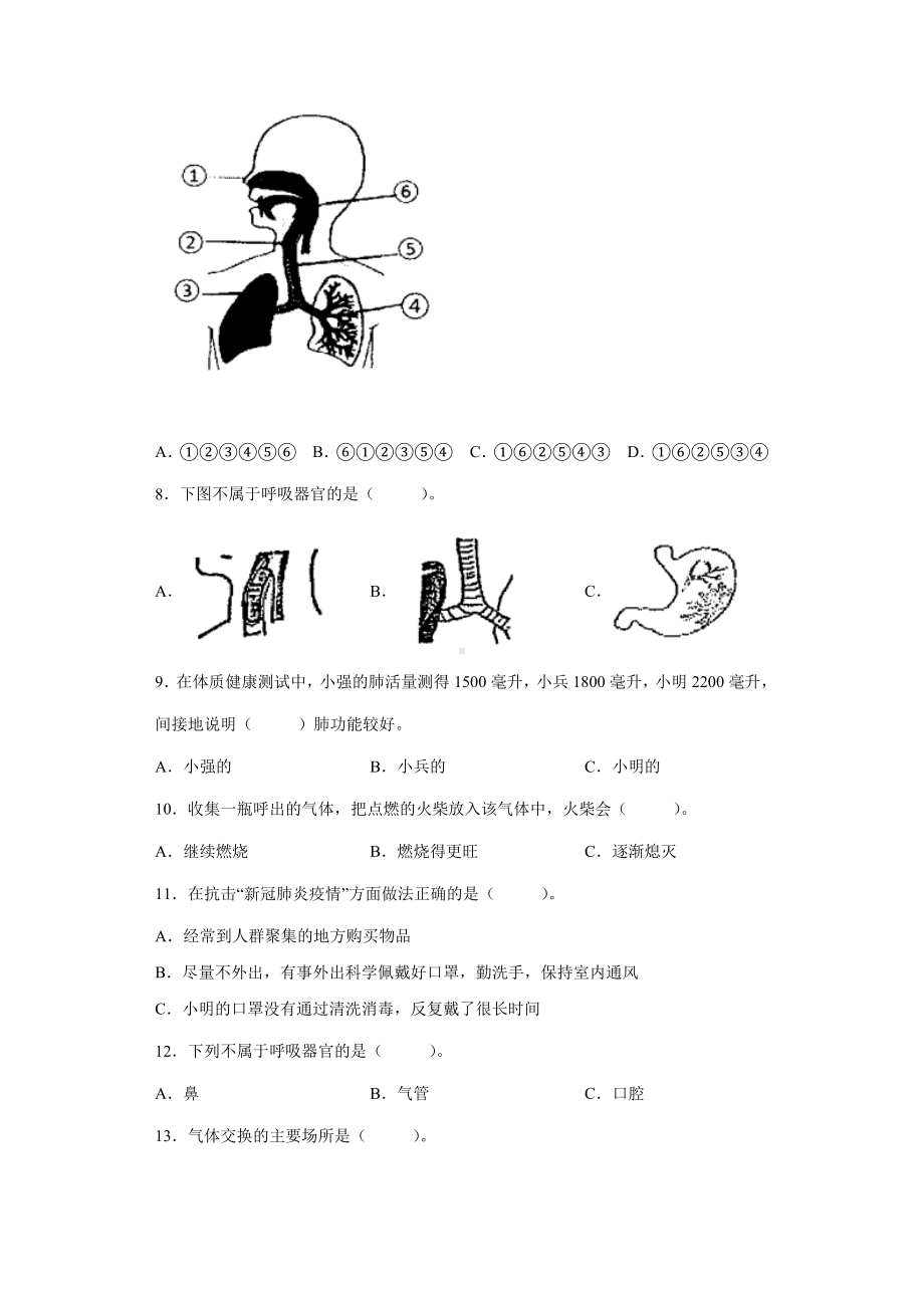 2022新大象版四年级上册《科学》第四单元人体的呼吸器官(单元测试）.docx_第2页