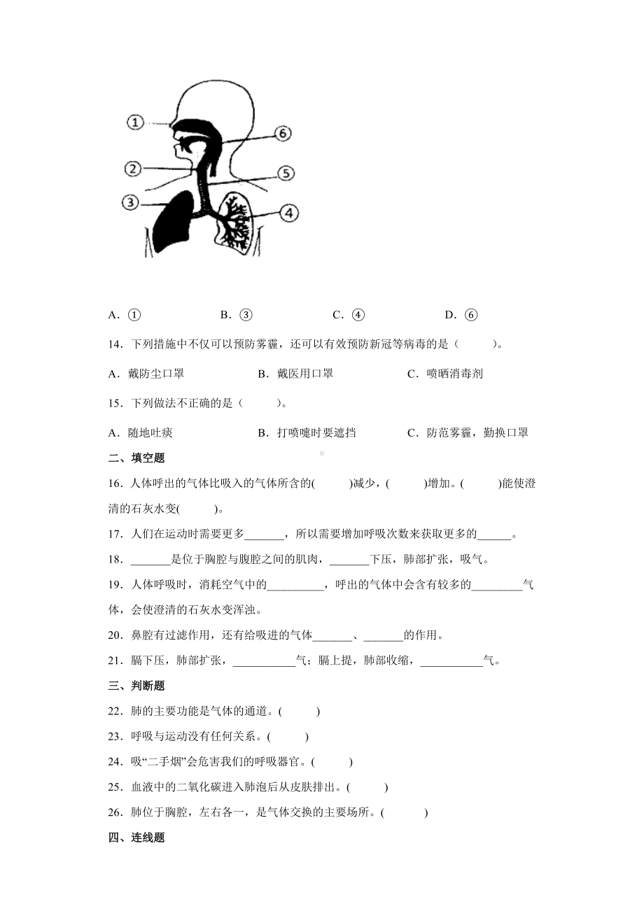 2022新大象版四年级上册《科学》第四单元人体的呼吸器官(单元测试）.docx_第3页