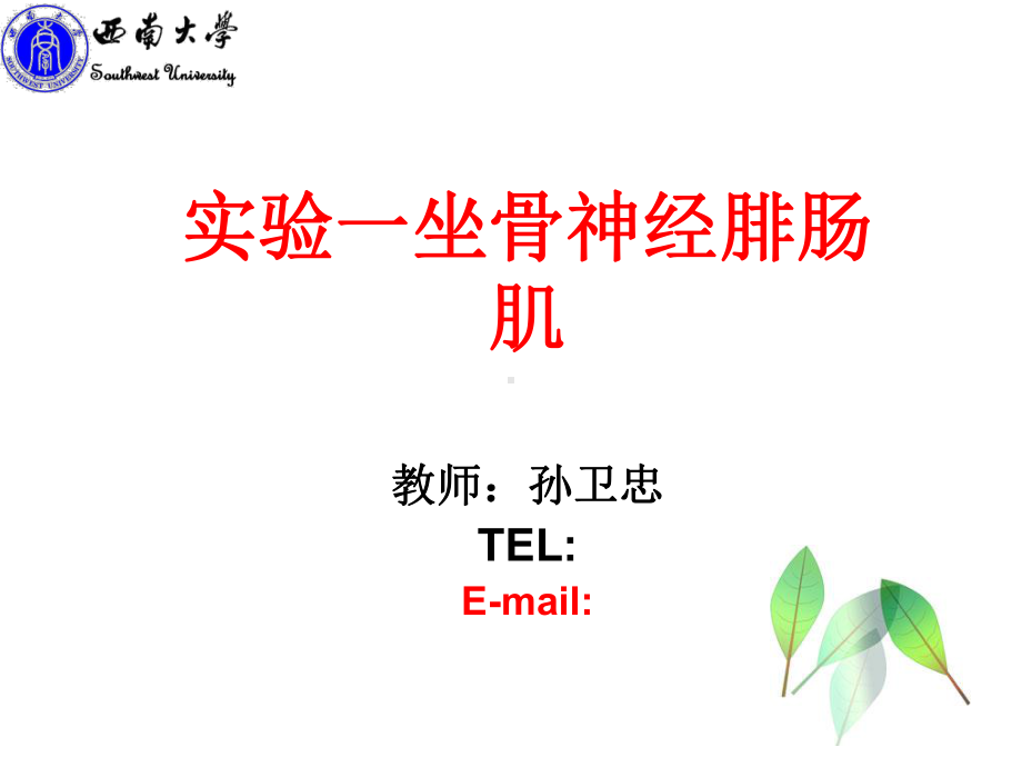 实验一坐骨神经腓肠肌-课件.ppt_第1页