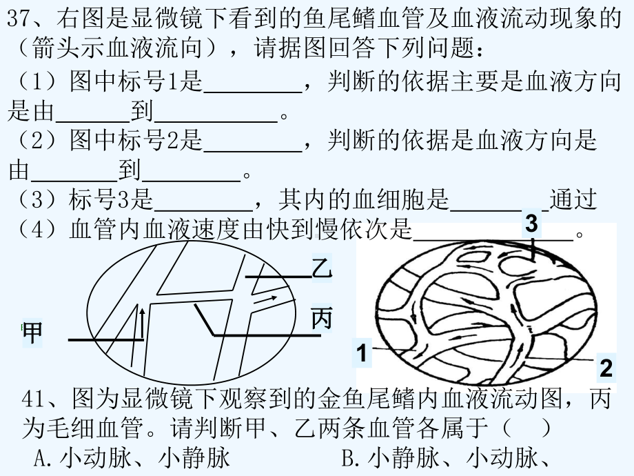 初中生物-专题复习-神经系统课件.ppt_第3页