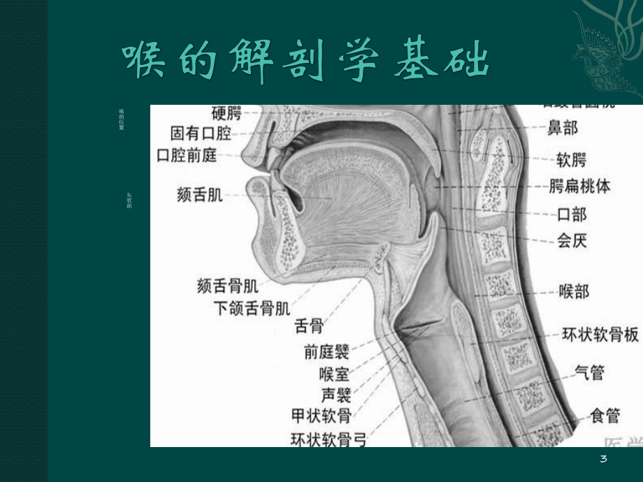 喉癌分期(终版)课件.pptx_第3页