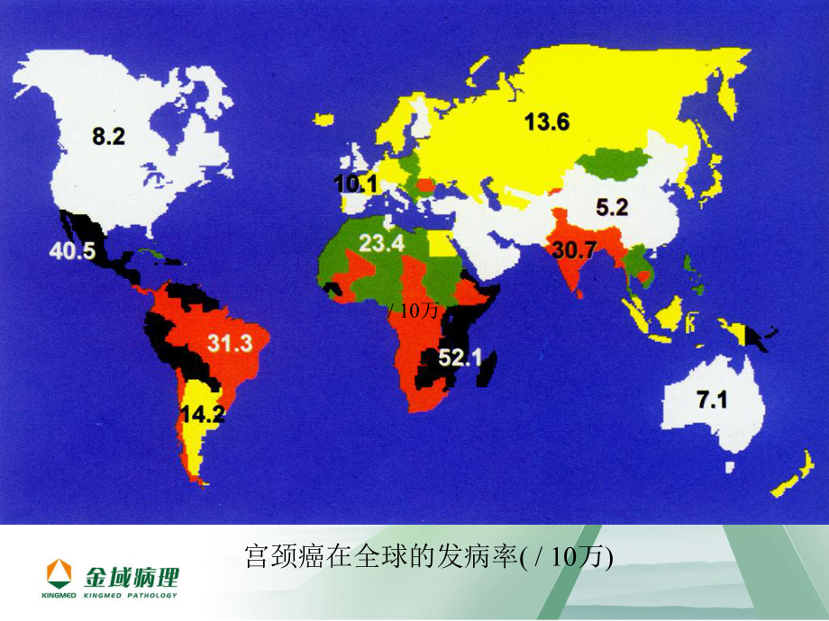 宫颈细胞学分析和应用课件.ppt_第3页