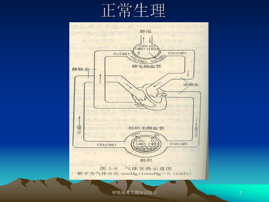 呼吸困难专题知识培训培训课件.ppt_第2页