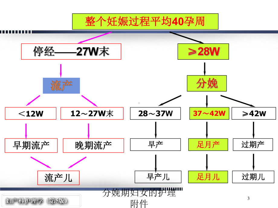 分娩期妇女的护理附件培训课件.ppt_第3页