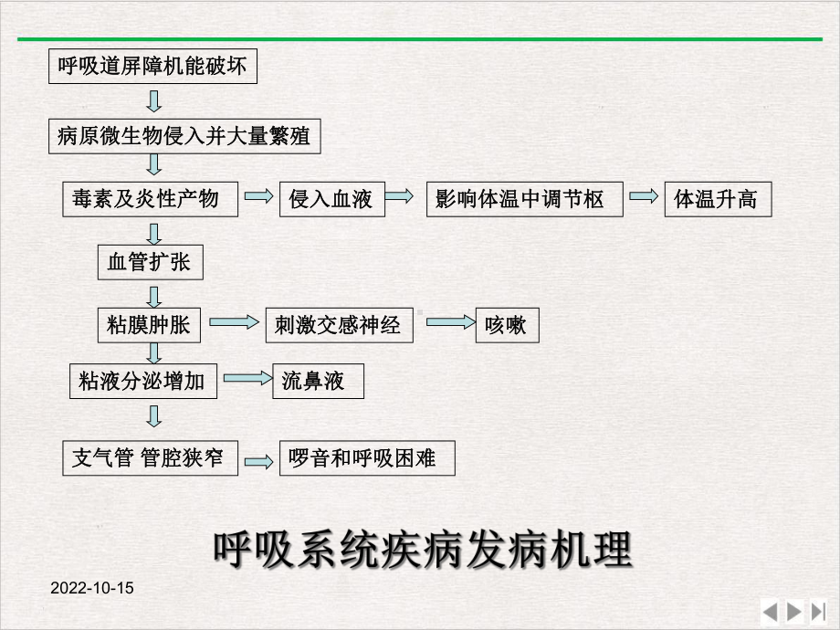 兽医内科学呼吸系统疾病新版课件.ppt_第3页