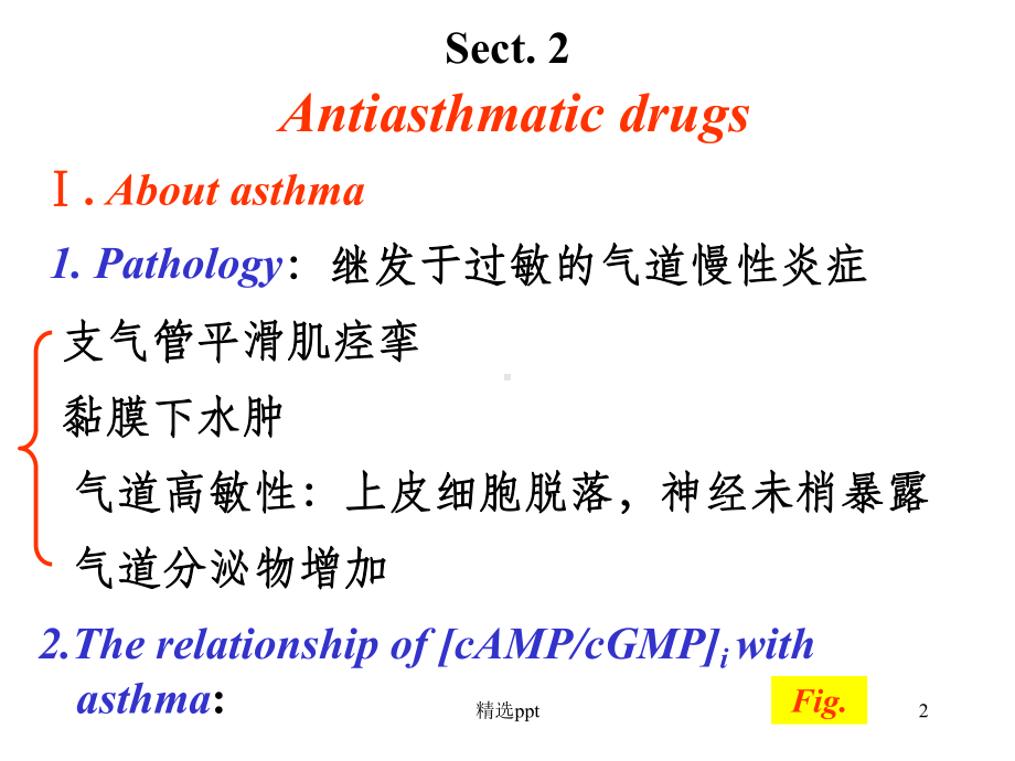 呼吸系统的常用药物介绍课件.ppt_第2页