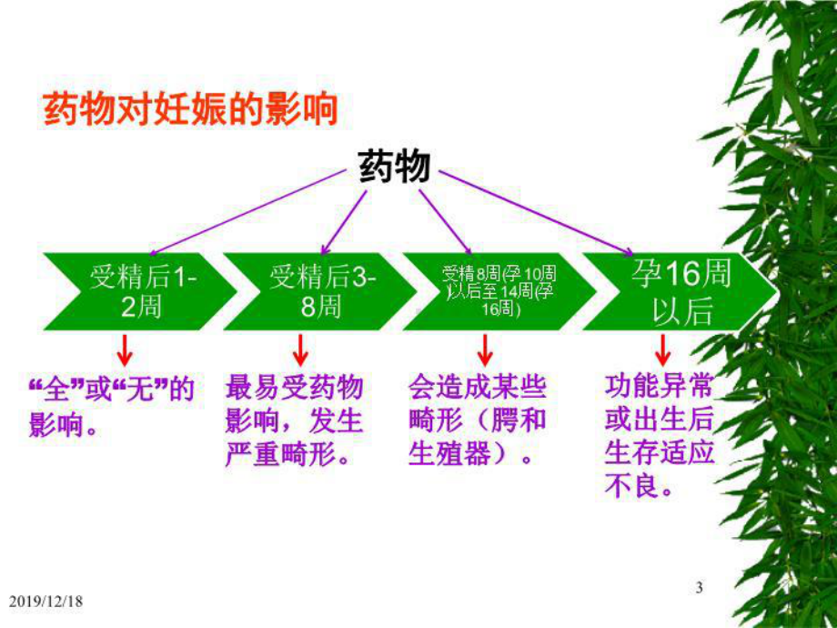 妊娠期合理用药71612-课件.ppt_第3页