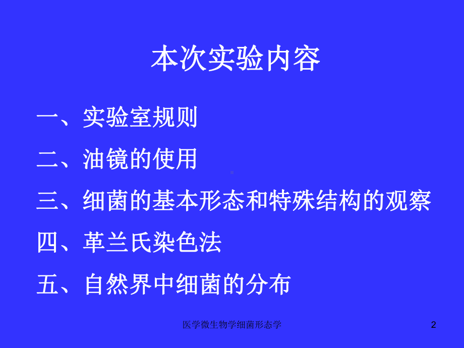 医学微生物学细菌形态学课件.ppt_第2页