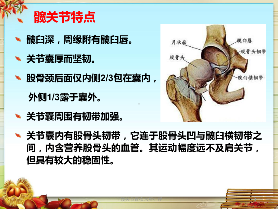 全髋关节置换术后护理培训课件.ppt_第3页