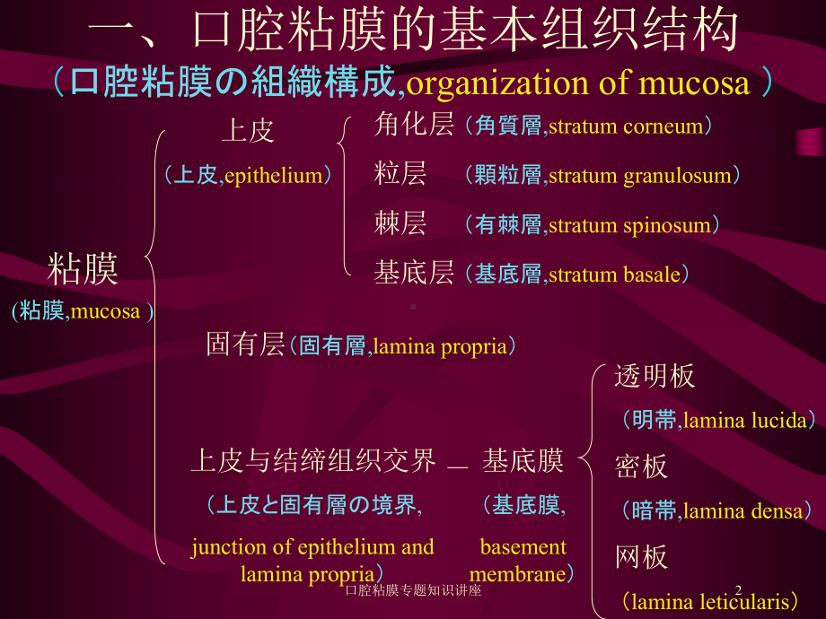 口腔粘膜专题知识讲座培训课件.ppt_第2页