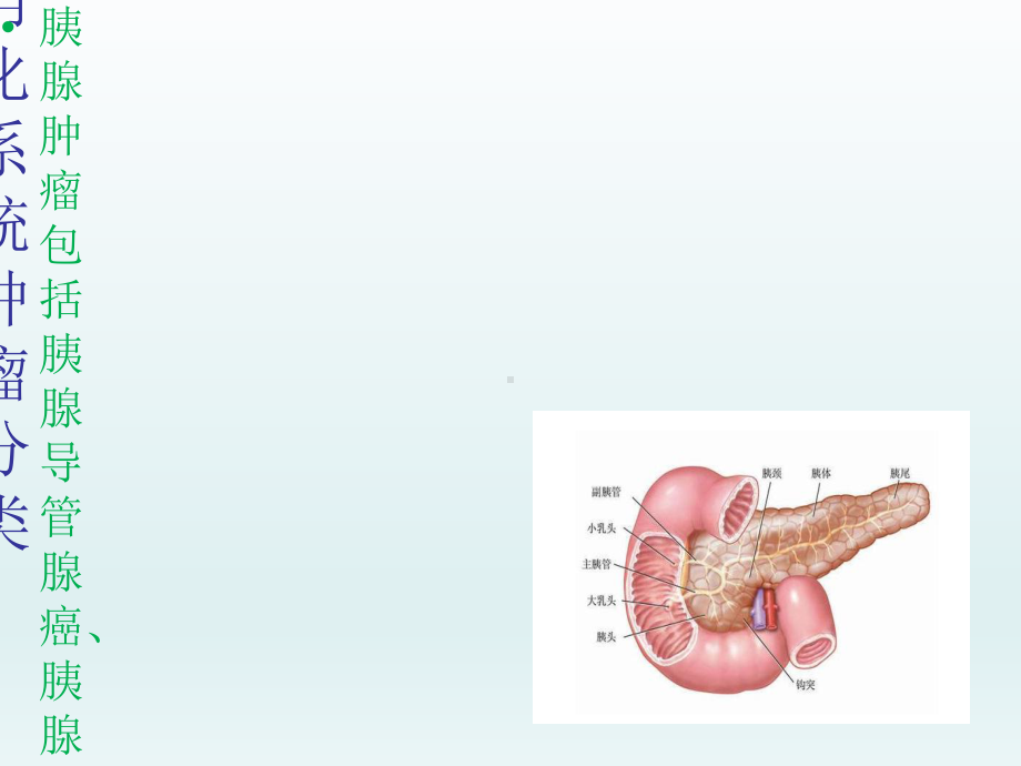 医学胰腺肿瘤分类及诊疗专题培训课件.ppt_第2页