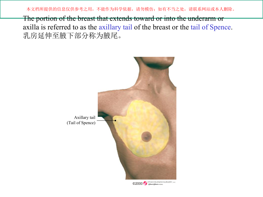 乳腺解剖医学知识专题讲座培训课件.ppt_第1页