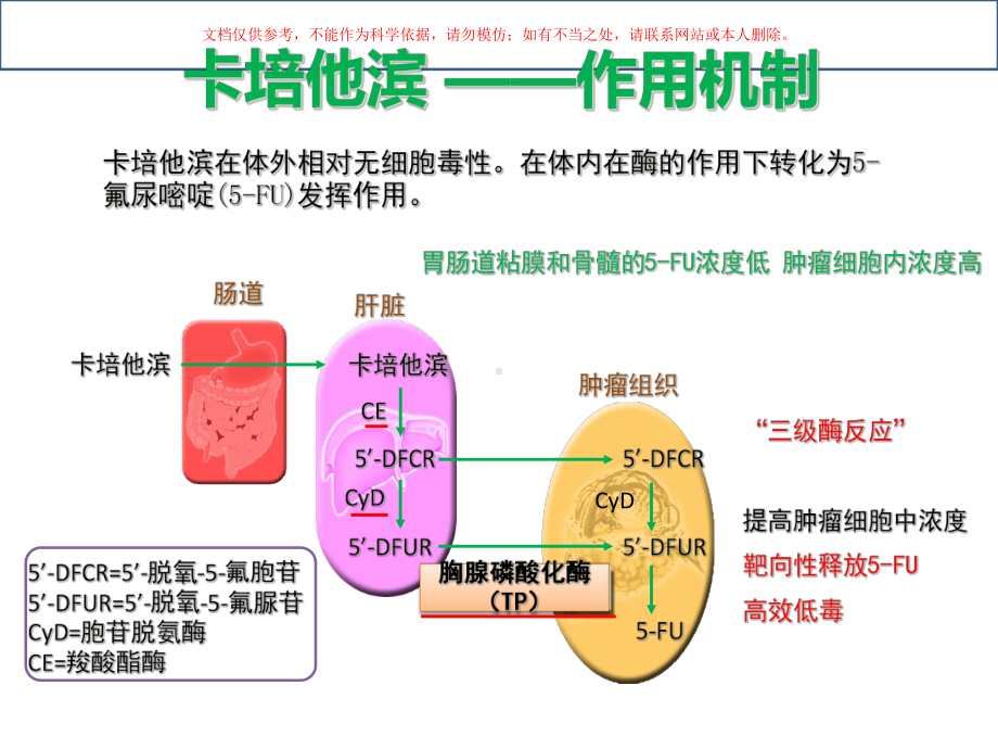 卡培他滨消化道肿瘤用药策略课件.ppt_第2页