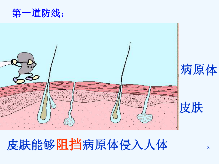 免疫与计划免疫第一课时课件.ppt_第3页