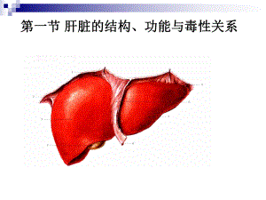 医学课件药物对肝脏的毒性作用.ppt