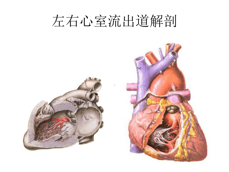 室早室速体表心电图定位诊断-课件.ppt_第3页