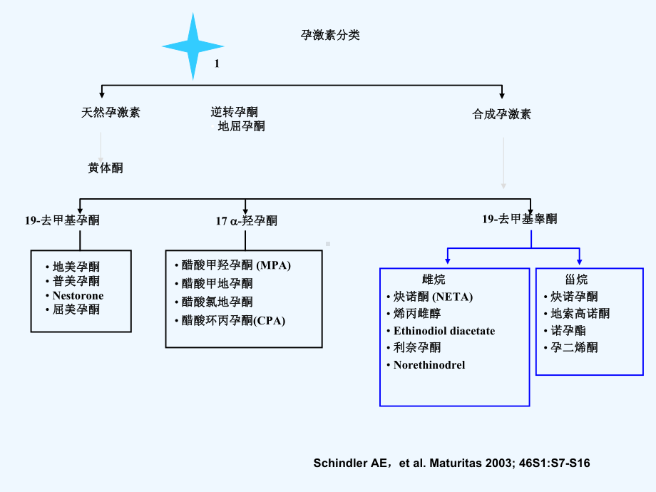 孕激素与成功妊娠的维持课件.ppt_第3页