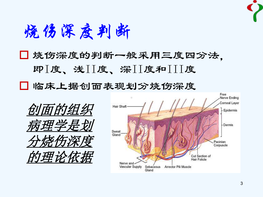 全科医师培训物理损伤课件.ppt_第3页