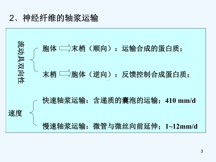 动物生理学第十三章神经系统的运动机能课件.ppt_第3页