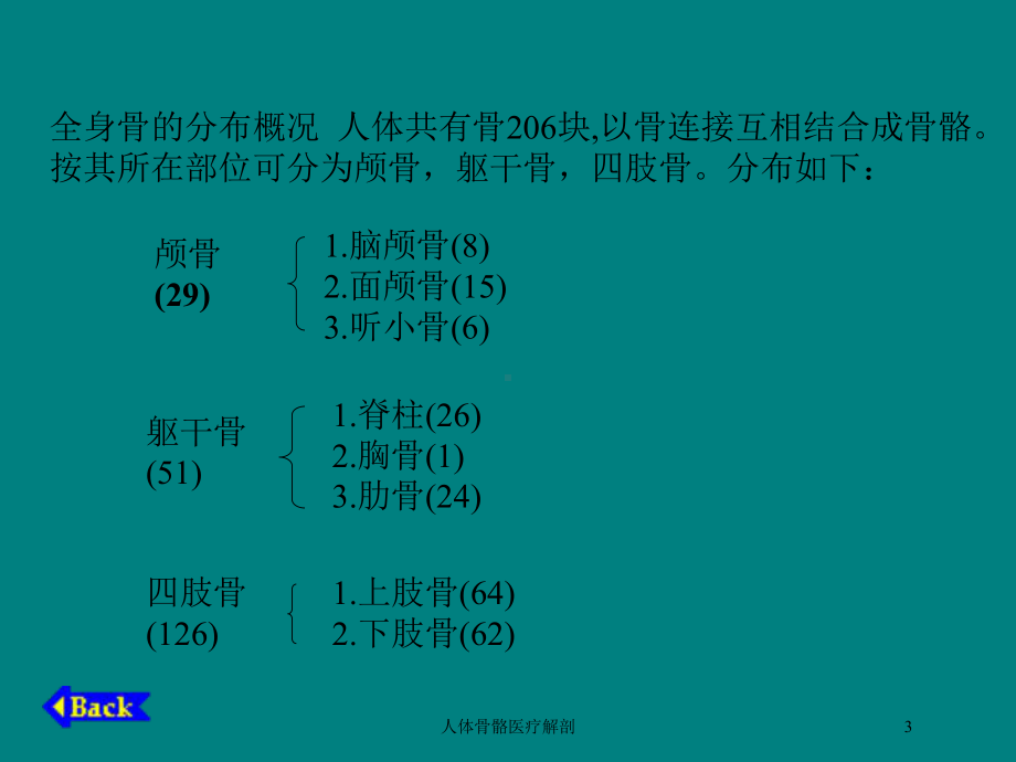 人体骨骼医疗解剖培训课件.ppt_第3页