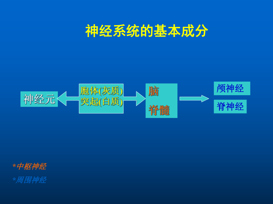 定位诊断医学课件.ppt_第3页