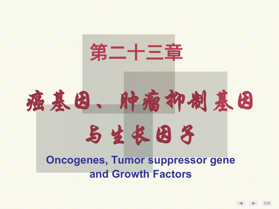 医学癌基因肿瘤抑基因和生长因子培训课件.ppt_第2页