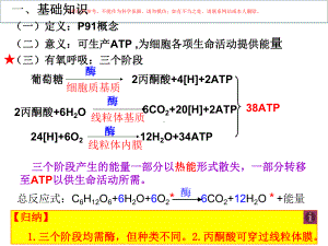 呼吸作用专题知识讲座课件.ppt