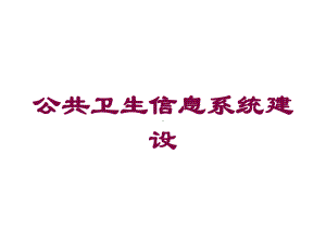 公共卫生信息系统建设培训课件.ppt