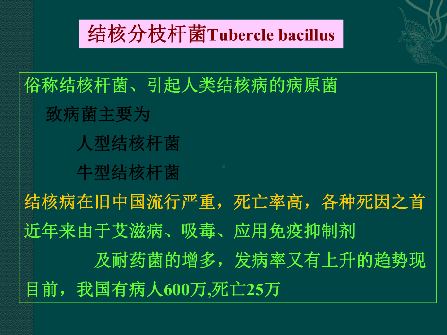 医学课件-呼吸道传播细菌教学课件.ppt_第2页