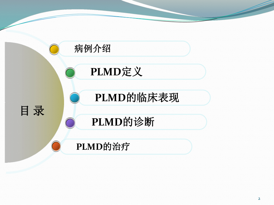 失眠与周期性肢体运动障碍参考课件.ppt_第2页