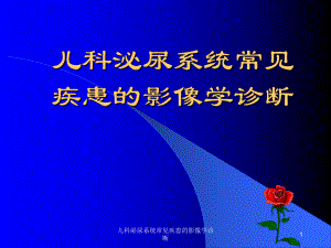 儿科泌尿系统常见疾患的影像学诊断课件.ppt