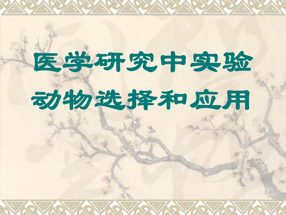 医学研究中实验动物选择和应用好像么有……我们只有大纲课件.ppt_第1页