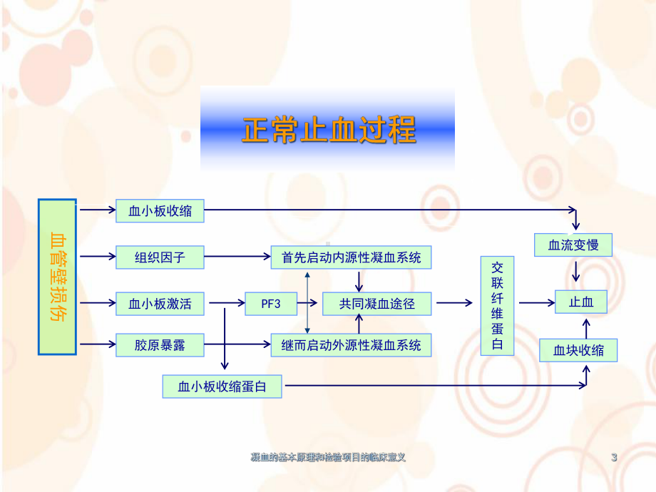 凝血的基本原理和检验项目的临床意义培训课件.ppt_第3页