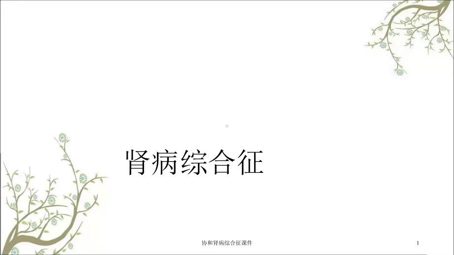 协和肾病综合征课件.ppt_第1页