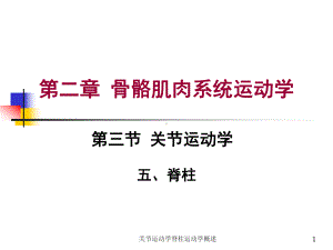 关节运动学脊柱运动学概述课件.ppt