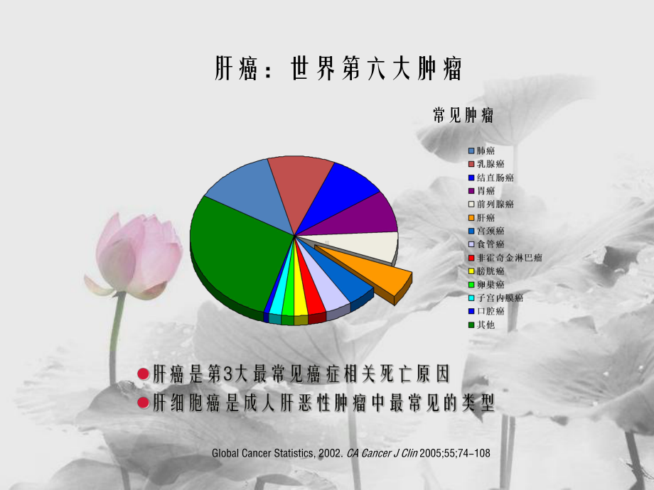 围手术期肝损伤课件.ppt_第2页