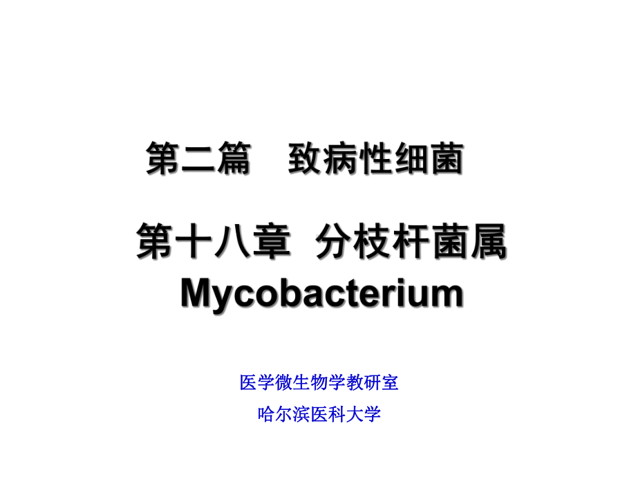 分枝杆菌梭菌属教学课件.pptx_第2页