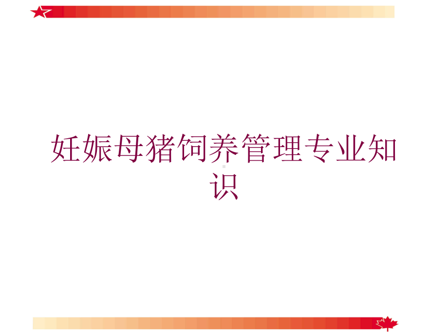 妊娠母猪饲养管理专业知识培训课件.ppt_第1页