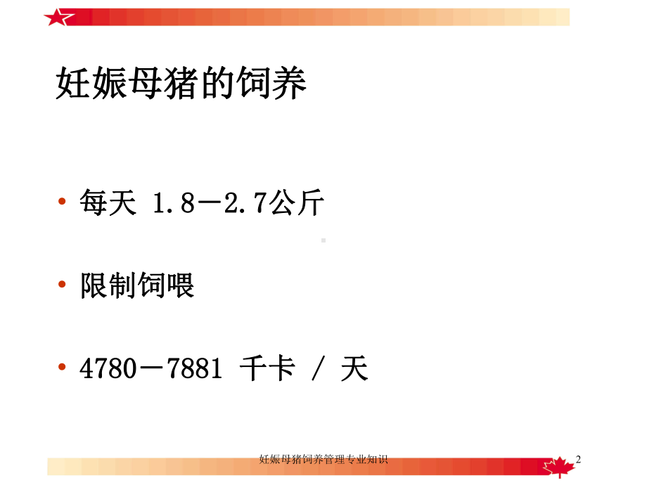 妊娠母猪饲养管理专业知识培训课件.ppt_第2页