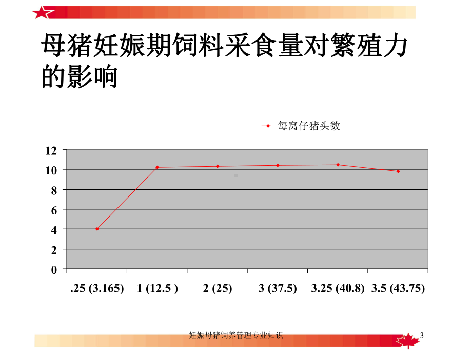 妊娠母猪饲养管理专业知识培训课件.ppt_第3页