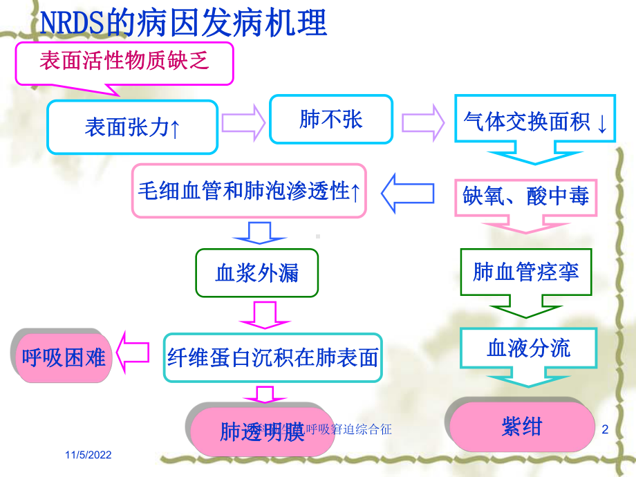 儿科新生儿呼吸窘迫综合征培训课件.ppt_第2页