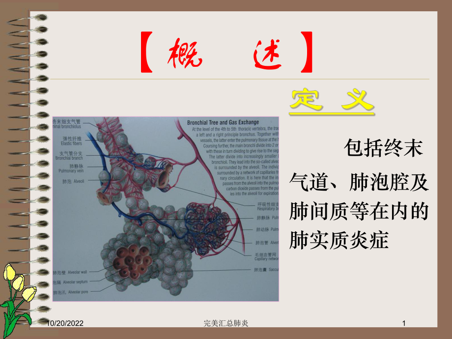 完美汇总肺炎培训课件.ppt_第1页