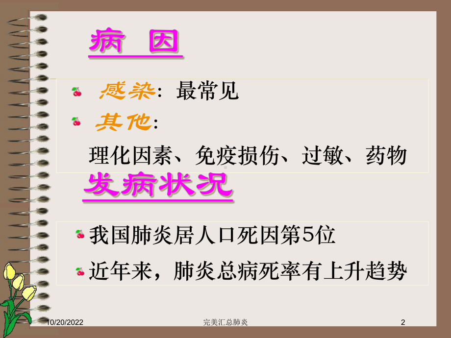 完美汇总肺炎培训课件.ppt_第2页