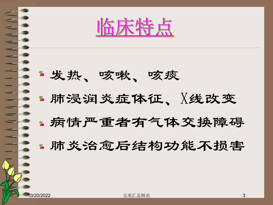 完美汇总肺炎培训课件.ppt_第3页