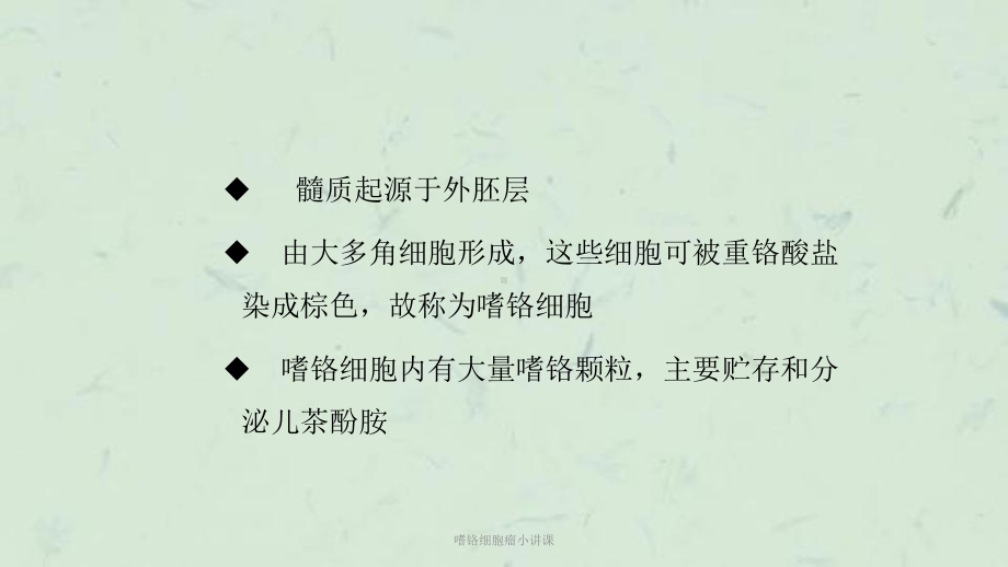 嗜铬细胞瘤小讲课课件.ppt_第3页