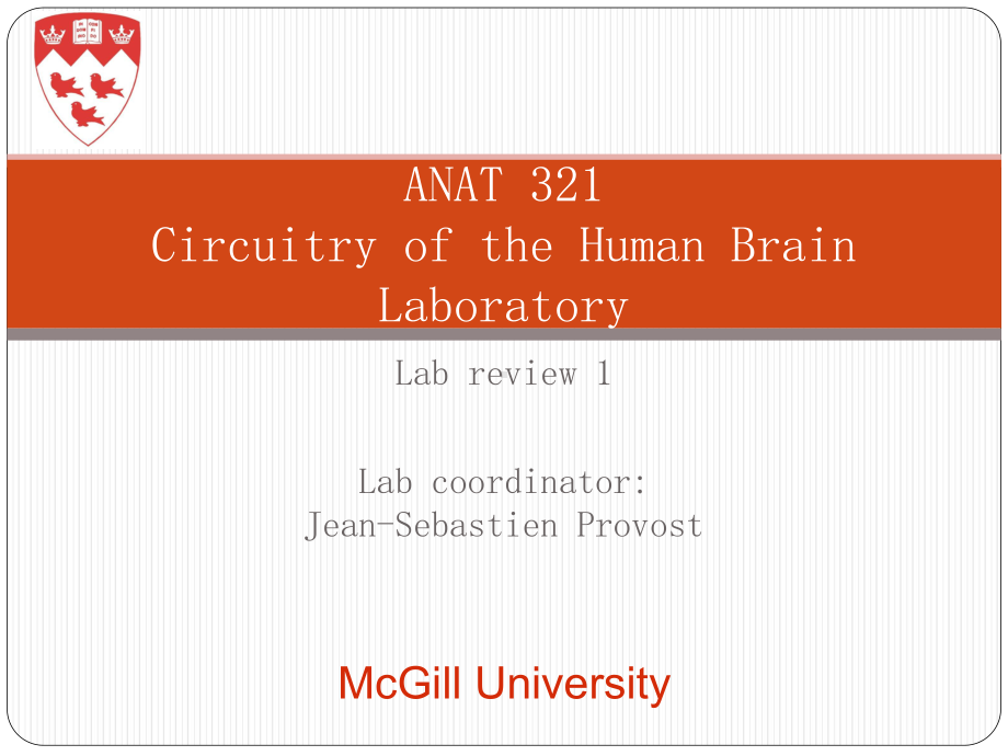 医学院授课讲义模板：人体大脑组织功能详细讲解Circuitry-of-the-Human-Brain-Laboratory课件.ppt_第1页