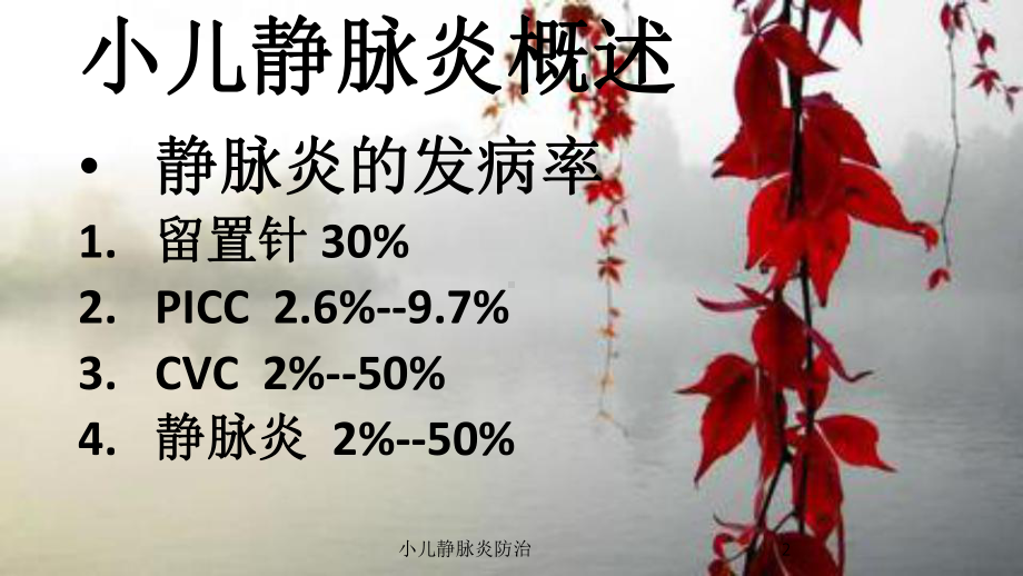 小儿静脉炎防治培训课件.ppt_第2页